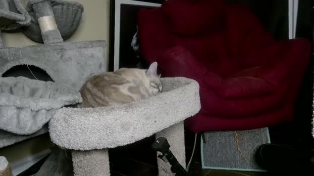 alphazack14 08-01-2024 video strip