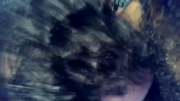 brhornycouple 07-01-2024 video nude