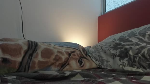 noahbrawn 08-01-2024 video fuck