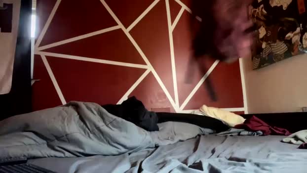 wire_nutz 08-01-2024 video analtoy