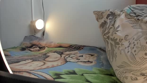 noahbrawn 12-01-2024 video wank