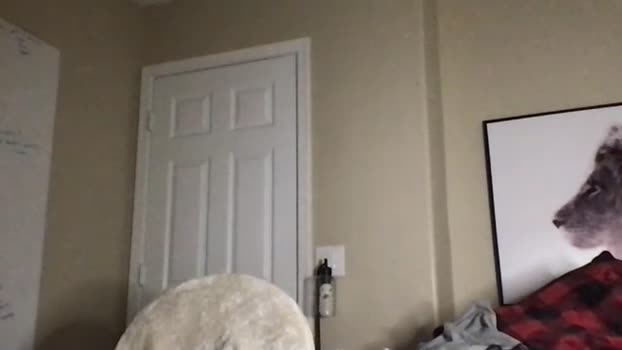 johnafterdark 13-01-2024 video fuckass