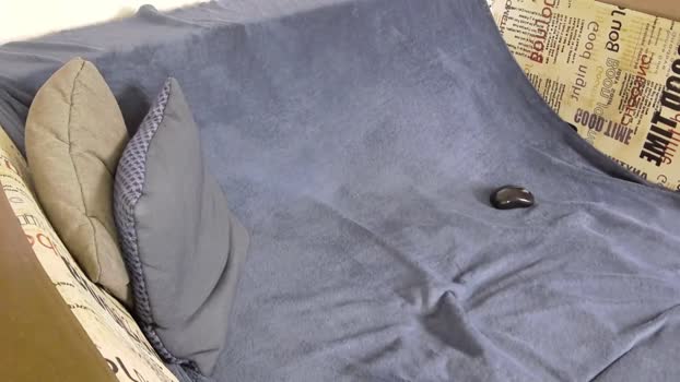 jonny_doss 13-01-2024 video toys