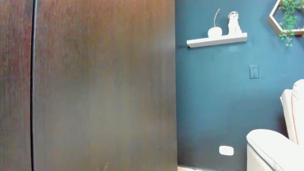 regan_pearson 14-01-2024 video toys