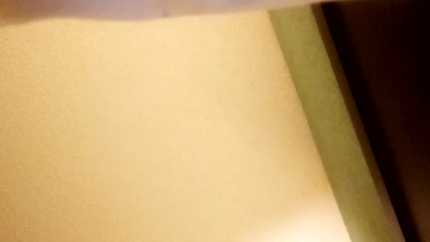 321imthashit_ 15-01-2024 video toys