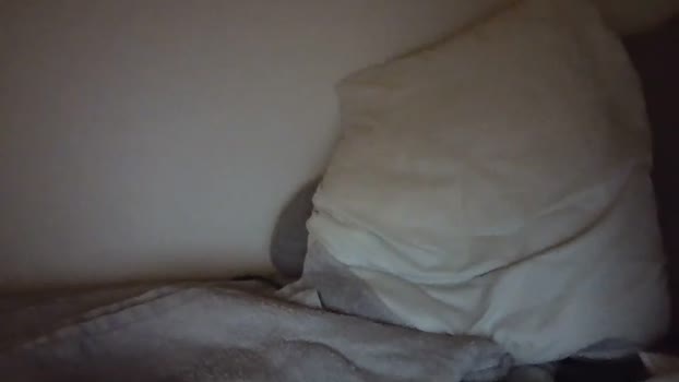 henebeii 16-01-2024 video jerkoff