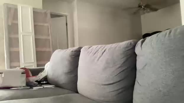 ryan287747 15-01-2024 video Video