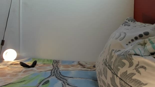 noahbrawn 18-01-2024 video fuckass