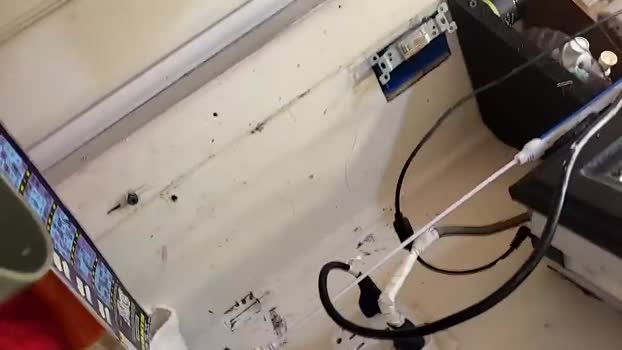 chance8889 21-01-2024 video yummy