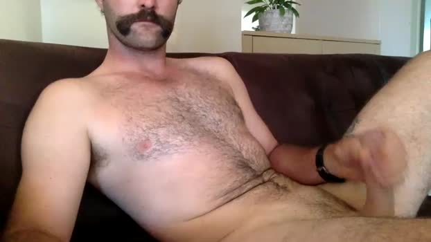 mb2603 21-01-2024 video toys