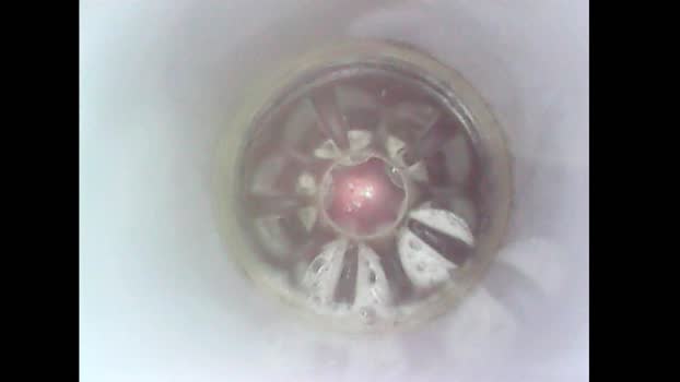 germannoodle 22-01-2024 video Nude