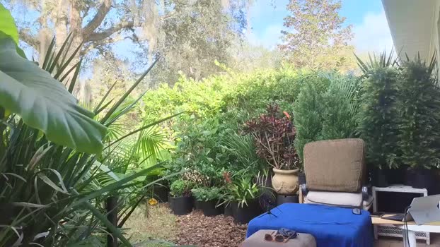 ericfromflorida420 24-01-2024 video horny