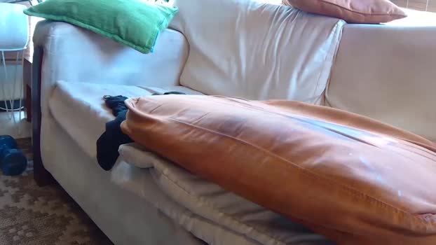 biengrossa 26-01-2024 video fuck