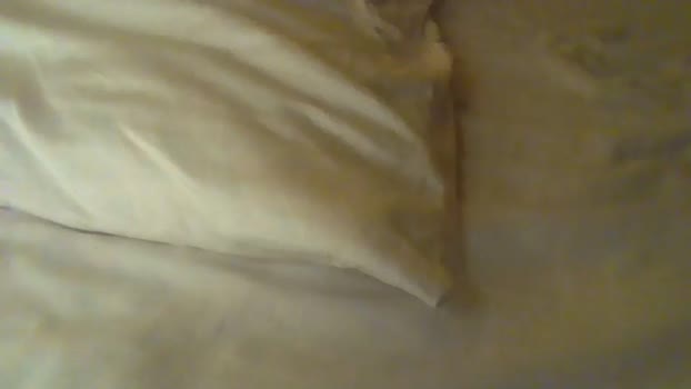 hugobeats5 29-01-2024 video Webcam