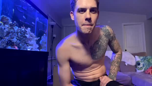 fin_wixx 31-01-2024 video hard