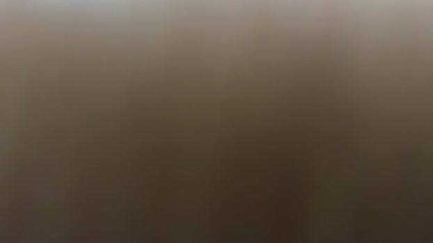 nicetomitsu 31-01-2024 video love