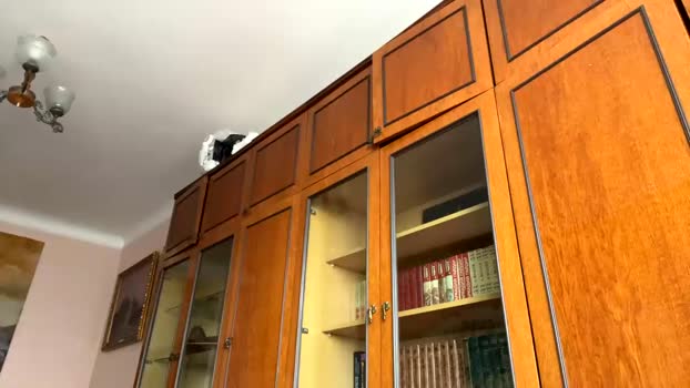 apollobest77 04-02-2024 video show