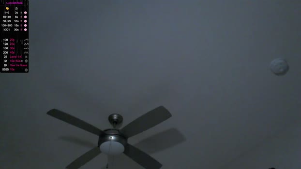 thebrentsavage 04-02-2024 video toy