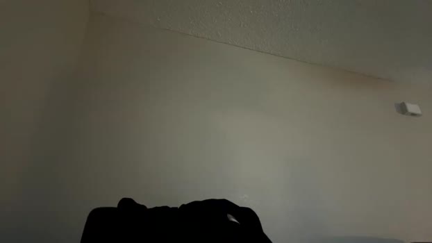 vegassangel 04-02-2024 video Ass