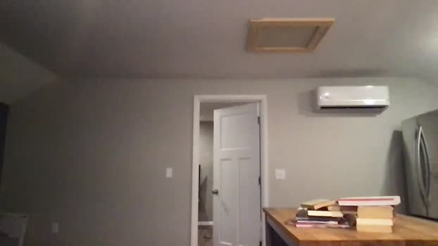 thetylerdurden0 05-02-2024 video analtoy