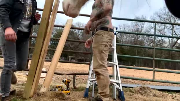 zanehammer 09-02-2024 video sex