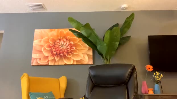 wentbrokeonstrippers 12-02-2024 video orgasm