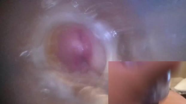 xoxowtf 11-02-2024 video blowjob