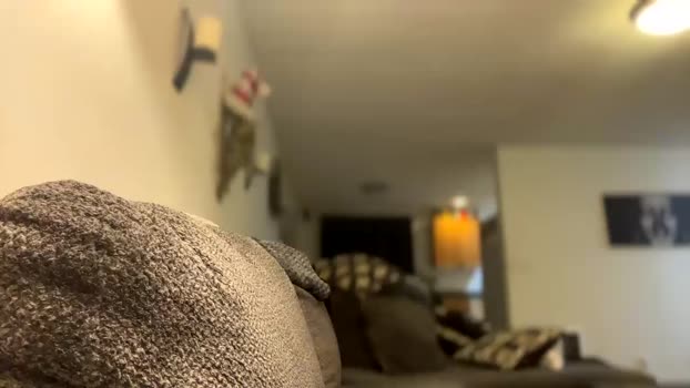 zdbbdz21 12-02-2024 video toys