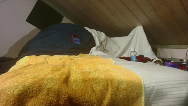 vicesana 13-02-2024 video fuckass