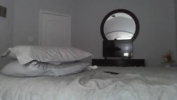 7straightuncut 14-02-2024 video ass