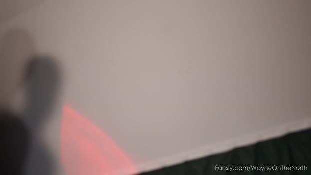 waynenorth 13-02-2024 video suckcock