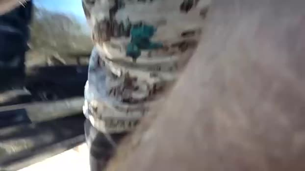 cammin86 15-02-2024 video suck