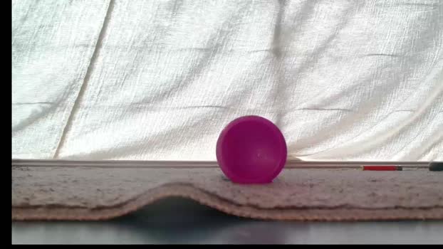 vicesana 18-02-2024 video suckcock