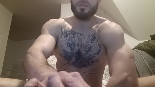 bebad1594 19-02-2024 video beauty