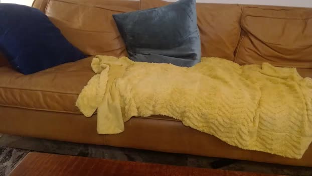 livingclean 19-02-2024 video fuckher