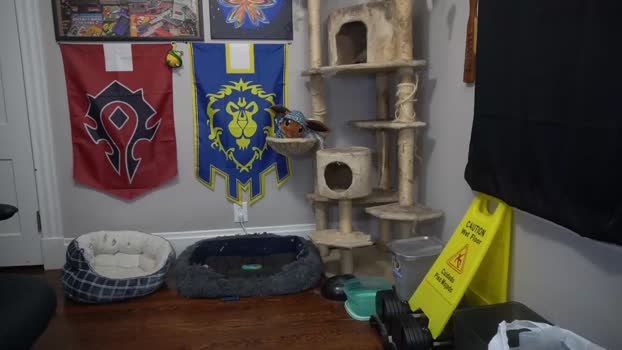 sydaffect 19-02-2024 video horny