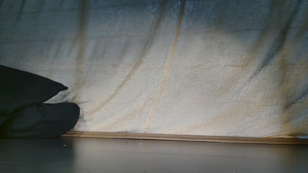 vicesana 19-02-2024 video horny