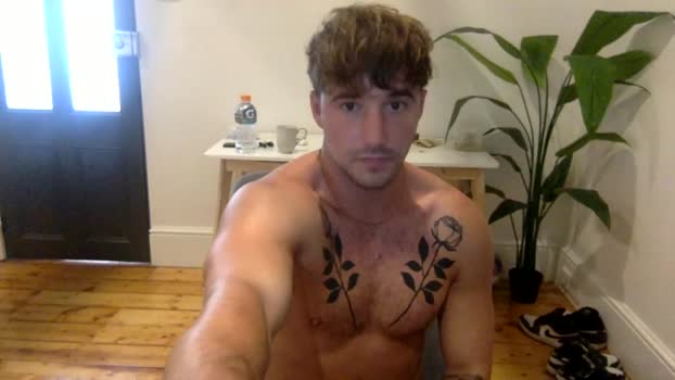 willd6 21-02-2024 video Download