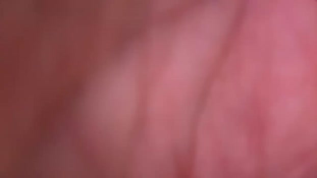 alphaapex1972 21-02-2024 video legs