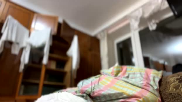 apollobest77 21-02-2024 video legs