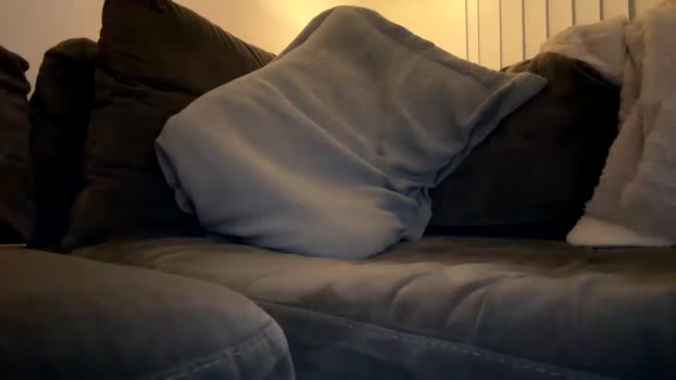 hungwillfromor 22-02-2024 video sexykitty