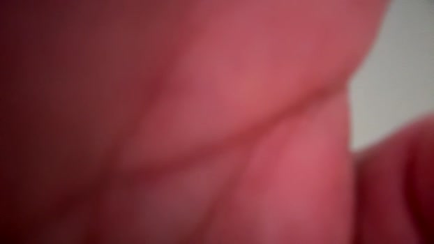 alphaapex1972 24-02-2024 video playtime