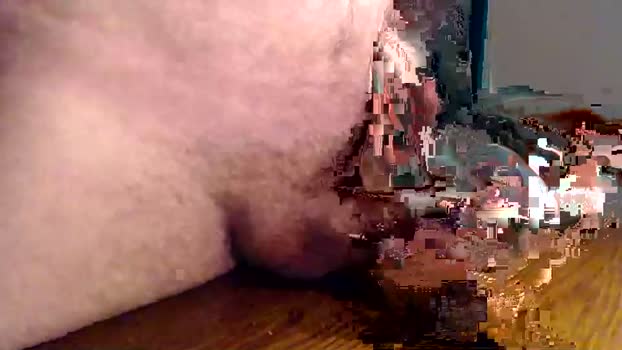 precumnyc 25-02-2024 video Webcam