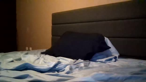 downforthemoney 26-02-2024 video play