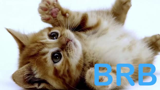 nicki_angel 27-02-2024 video Porn