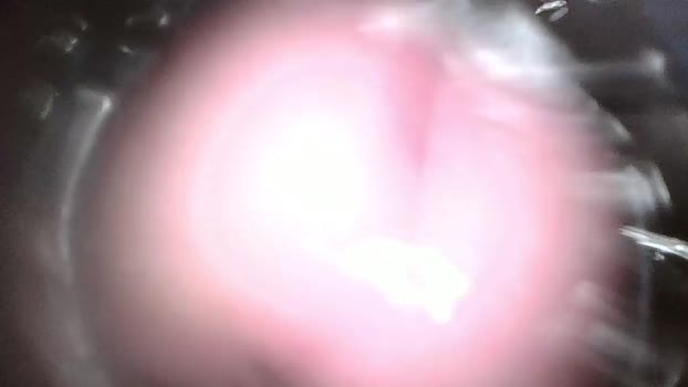 xoxowtf 26-02-2024 video legs