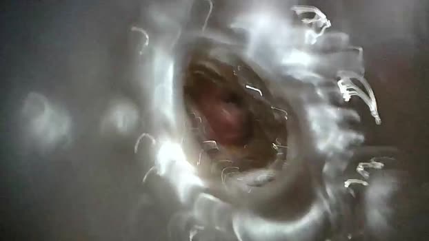 xoxowtf 27-02-2024 video harddick