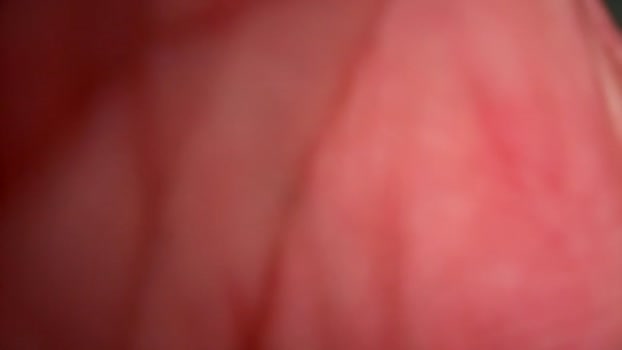 alphaapex1972 28-02-2024 video toys