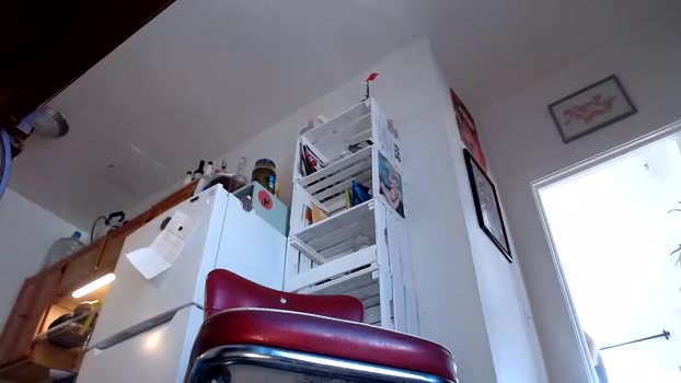 sirbub 29-02-2024 video kissing