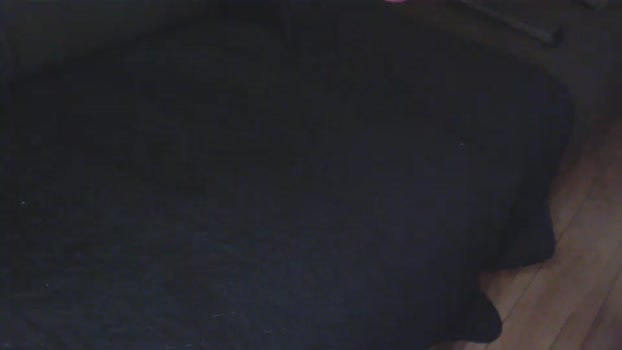 the_gentleman_xoxo 02-03-2024 video oral